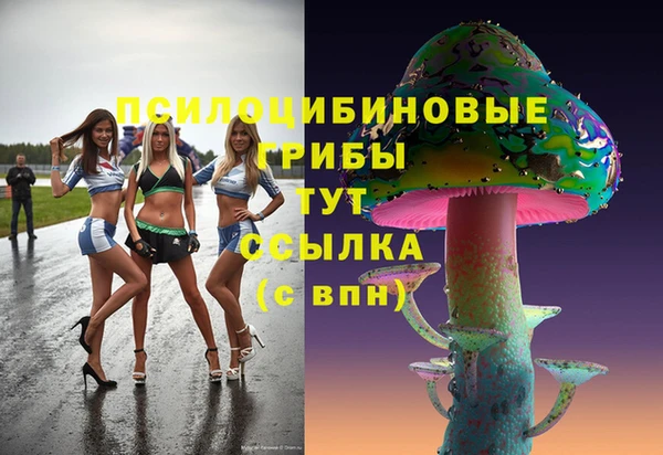 2c-b Ростов
