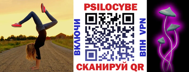 Псилоцибиновые грибы MAGIC MUSHROOMS  где можно купить наркотик  Спас-Клепики 